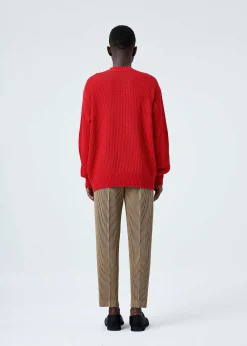ISSEY MIYAKE Pants|Compleat Trousers