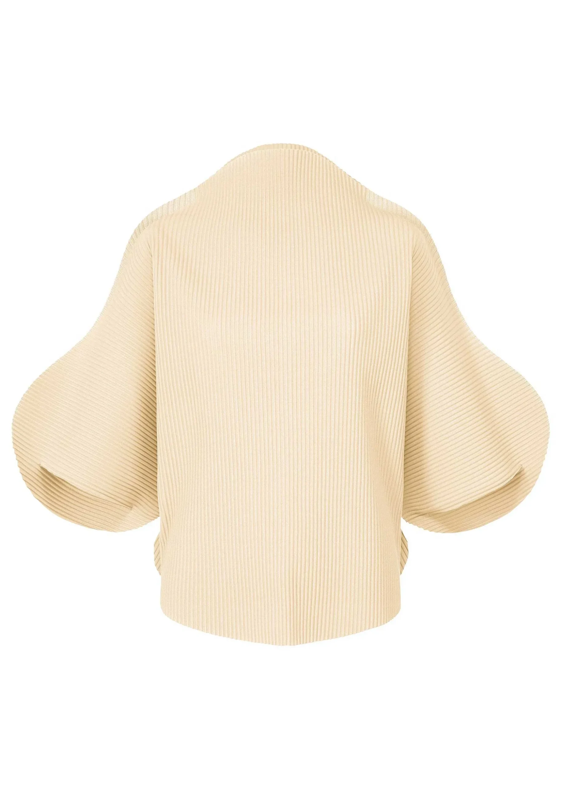 ISSEY MIYAKE Top|Dogu Pleats