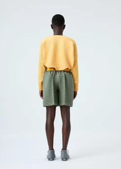 ISSEY MIYAKE Top|Horizon Pleats 2