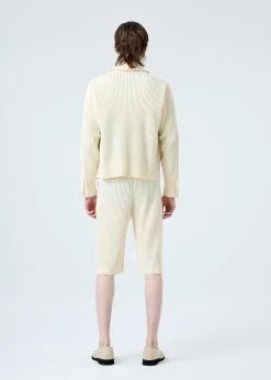 ISSEY MIYAKE Pants|Tailored Pleats 2